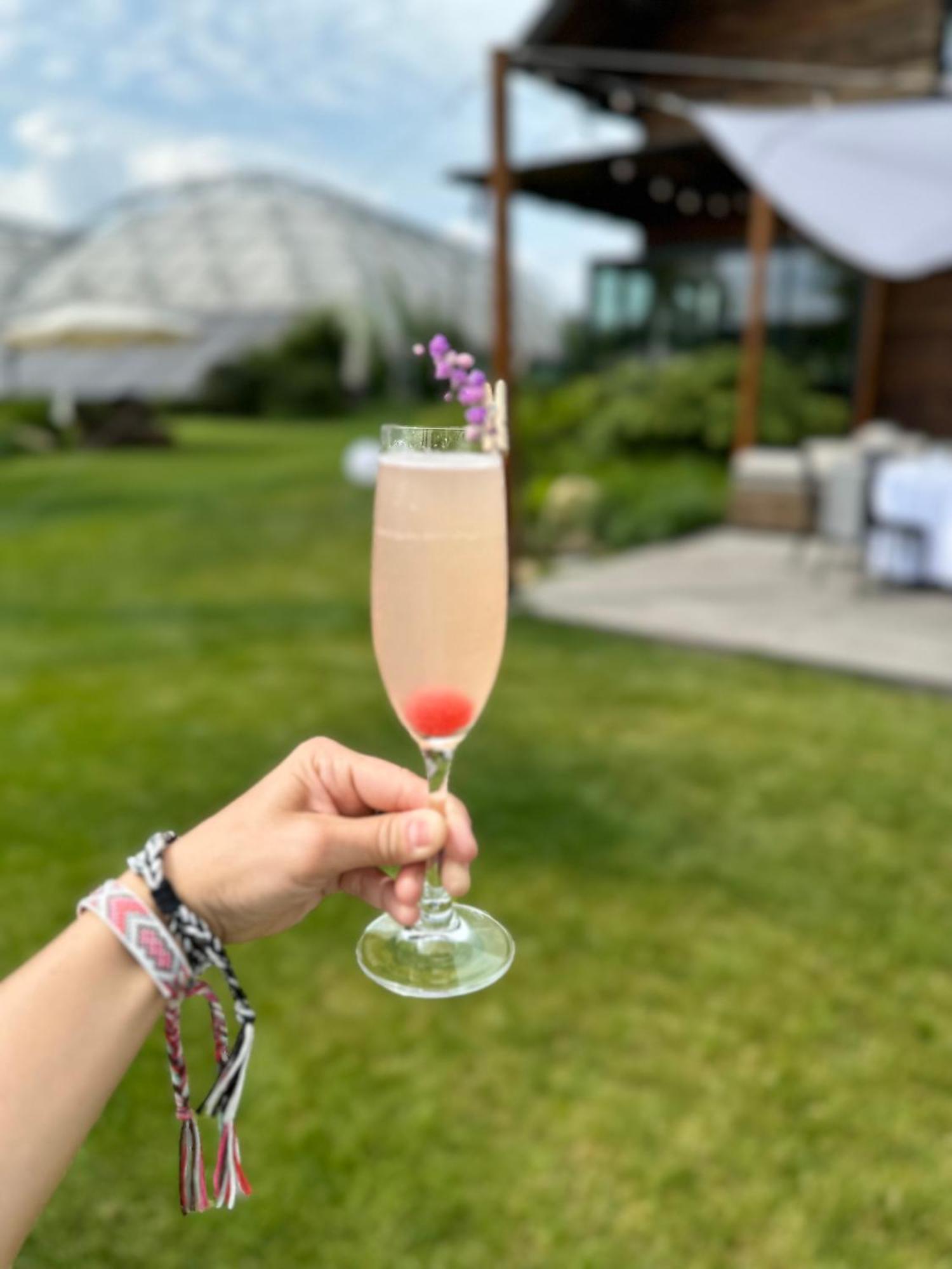 Grojec  Karma House Goscienczyce Bed & Breakfast エクステリア 写真